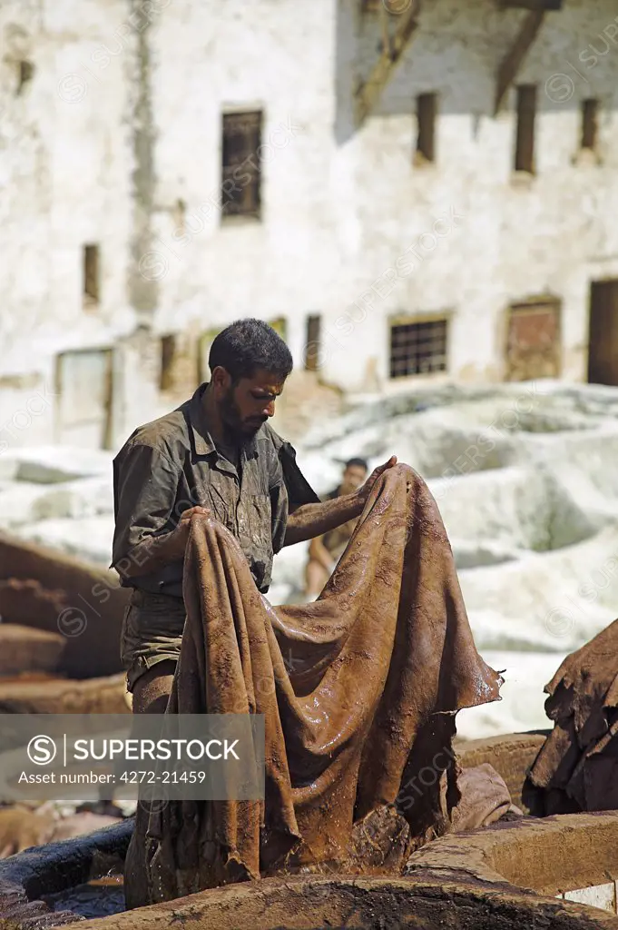 A man working in the tanneries in Old Fez, Morocco. In the white pits, animal hides are soaked for a week in lime and bird droppings to bleach the skin and remove the hair. The skins are then moved to the brown pits where they are coloured using natural dyes.