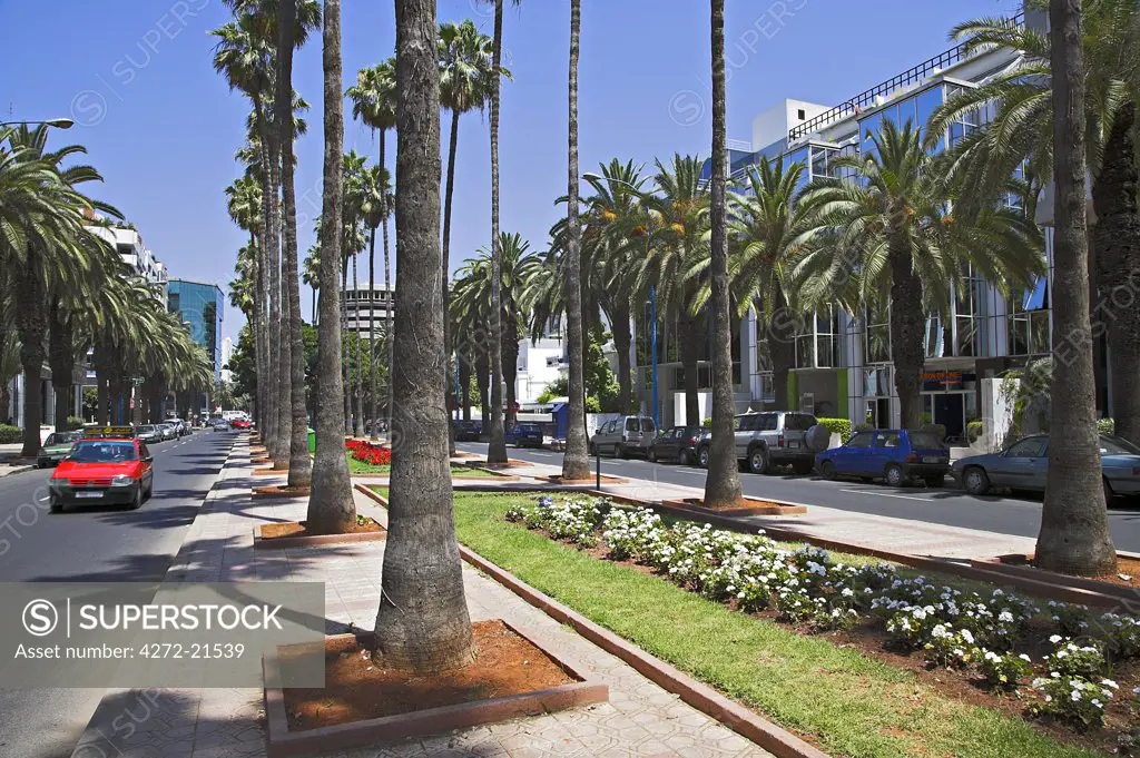 The Boulevard de Rachidi is typical of the wide tree lined streets in the smart Lusitania district of Casablanca.