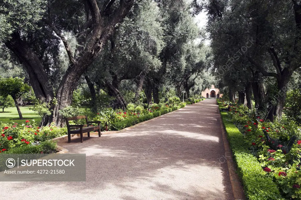 The gardens of the famous Mamounia hotel in Marrakech.