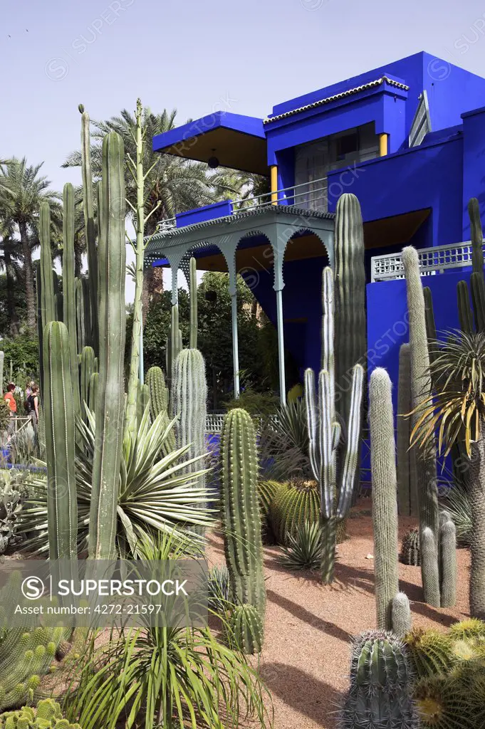 The sub-tropical Jardin Majorelle in the Ville Nouvelle of Marrakech. Designed by the French painter Jacques Majorelle who lived here from 1922 to 1962, it is now owned by the fashion designer Yves Saint-Laurent. The central blue building is also home to the Museum of Islamic Art.