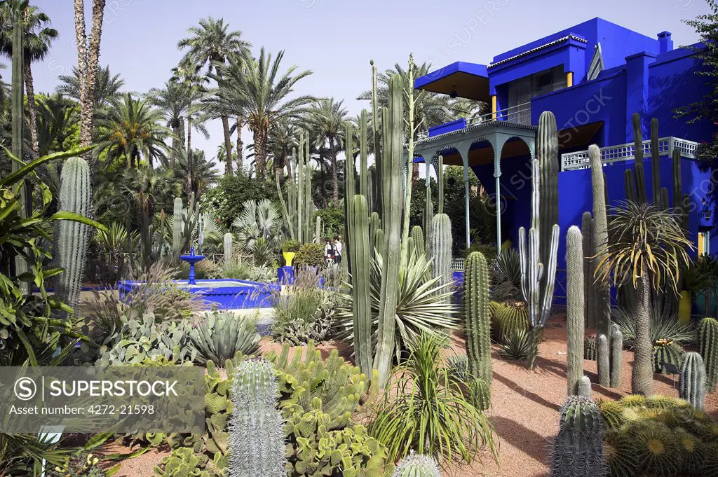 The sub-tropical Jardin Majorelle in the Ville Nouvelle of Marrakech. Designed by the French painter Jacques Majorelle who lived here from 1922 to 1962, it is now owned by the fashion designer Yves Saint-Laurent. The central blue  building is also home to the Museum of Islamic Art.