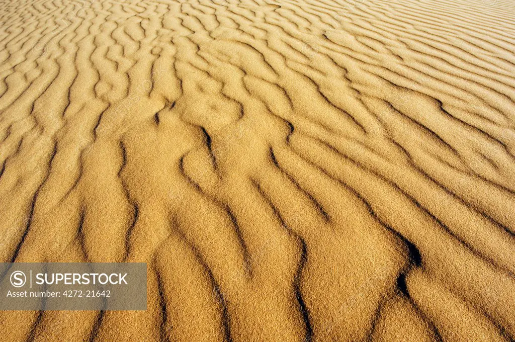 Morocco Merzouga Erg Chebbi Sand Dunes Ripple patterns