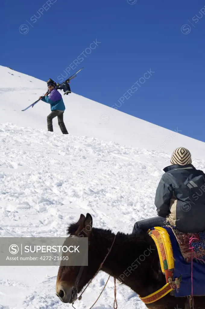 High Atlas Oukaimeden ski resort Child on donkey