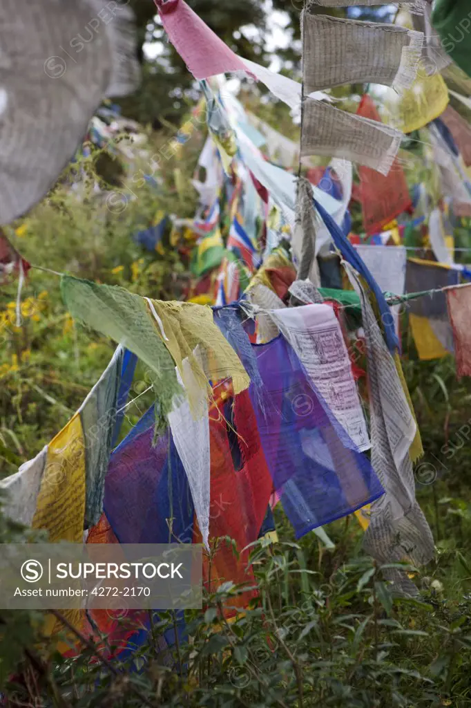 Prayer flags at the Dochu la pass in the Himalayan Kingdom of Bhutan