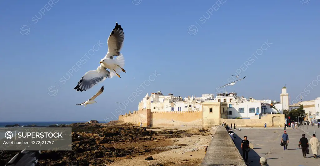 The beautiful and windy city of Essaouira. Morocco