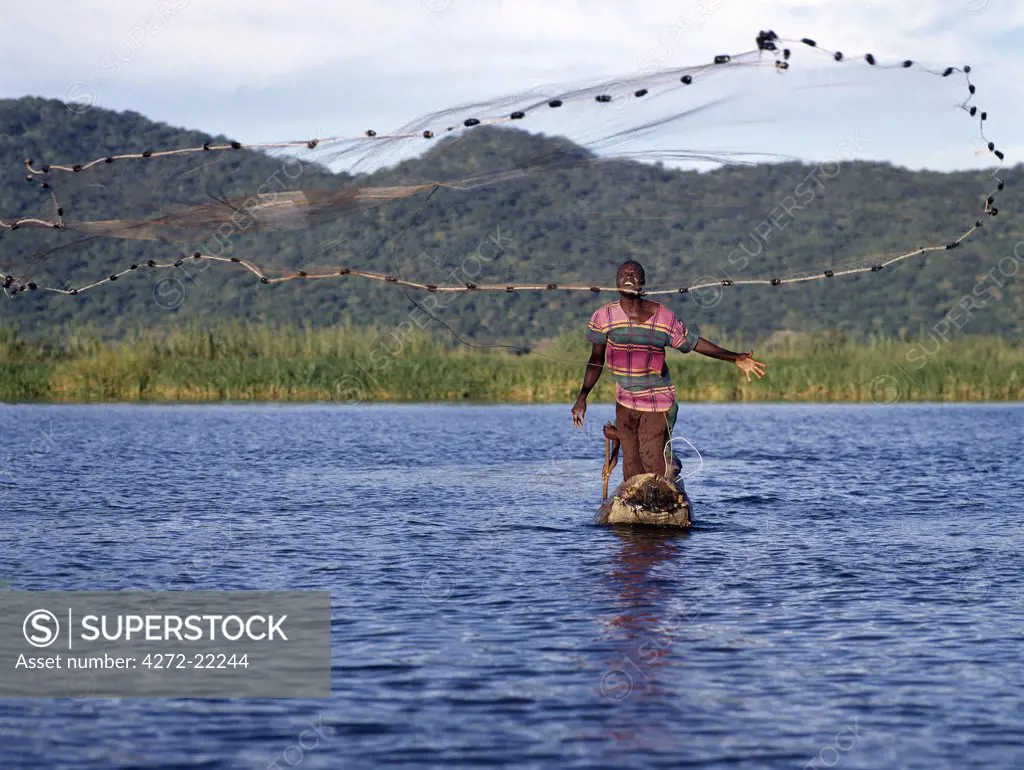 A fisherman in a dugout canoe casts his net in the Shire River, Lake Malawi's only outlet at the southern end of the lake.  Traditional fishing methods are still widespread in Malawi.