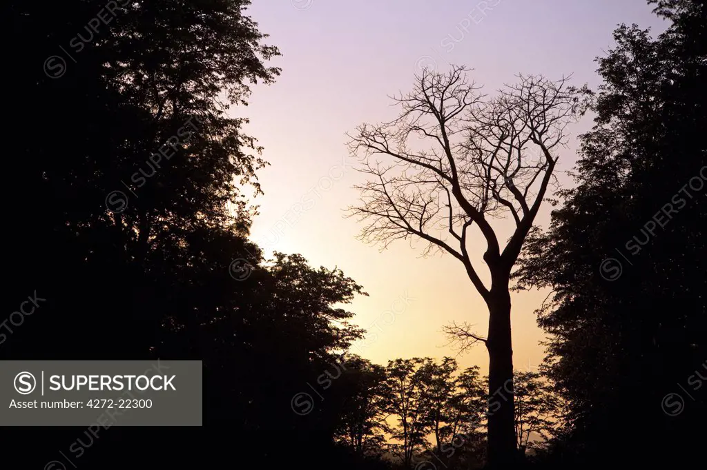 Malawi, Upper Shire Valley, Liwonde National Park. Sunset over the African bush.