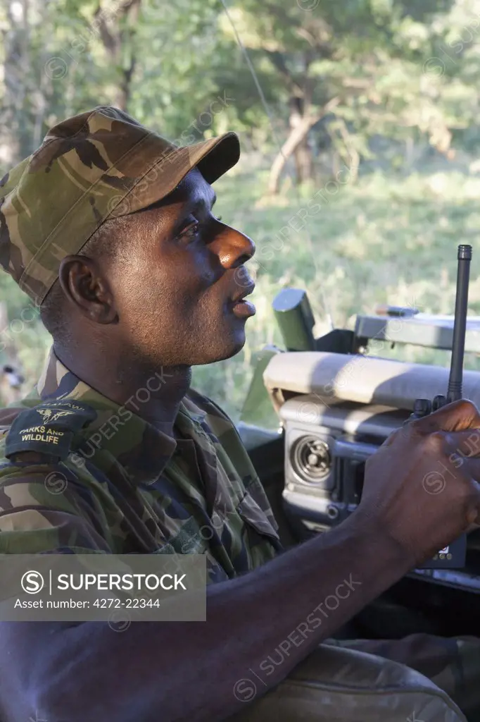 Malawi, Majete Wildlife Reserve, Thawale Camp. A park ranger talks into his walkie talkie radio.