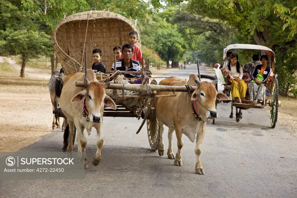 Myanmar. Burma. Bagan.  An ox-drawn farm cart passes a horse-drawn buggy on the road to Nyaung U market.