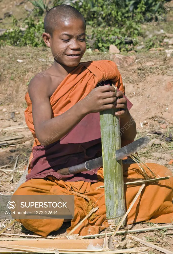 Myanmar, Burma, Wan-seeing.  A novice monk splitting bamboo to make tapers for the nearby Wan-seeing monastery.