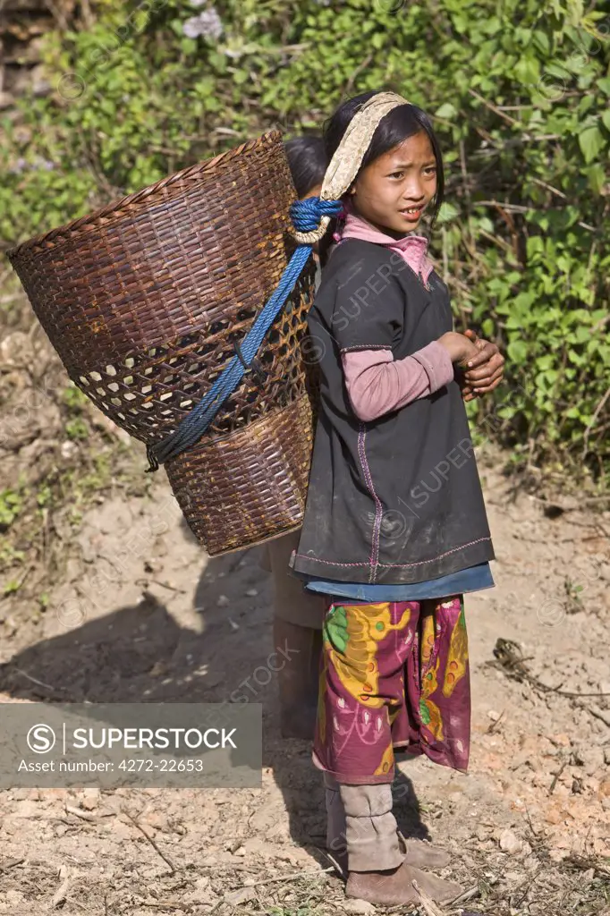 Myanmar, Burma, Wan-seeing.  A young Loi girl carrying a large wicker basket at Wan-seeing village.