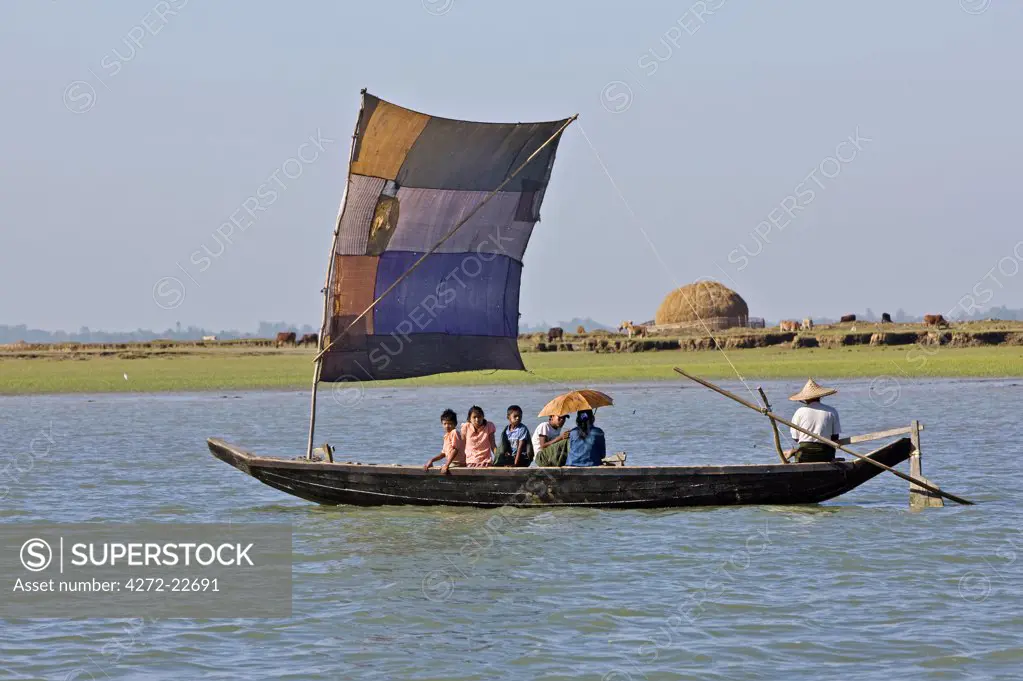 Myanmar, Burma, Kaladan River. A traditional sailing boat on the Kaladan River with cattle and a haystack of rice straw in the fields beyond the river bank.