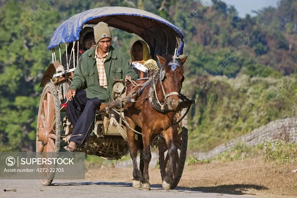 Myanmar, Burma, Mrauk U. A horse-drawn cart heading for the market near Mrauk U.