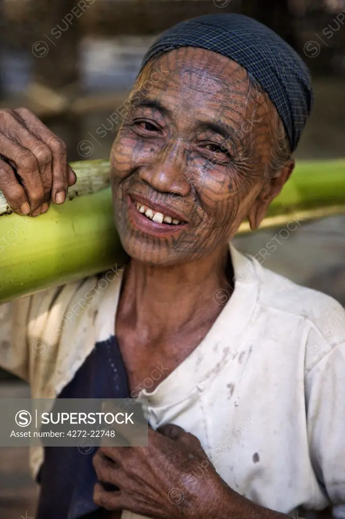 Myanmar, Chin State, Panbaung. A Chin woman with tattooed face carries home the stem of a banana tree. It was customary in the past for girls to be tattooed at 14 or 15 years old.