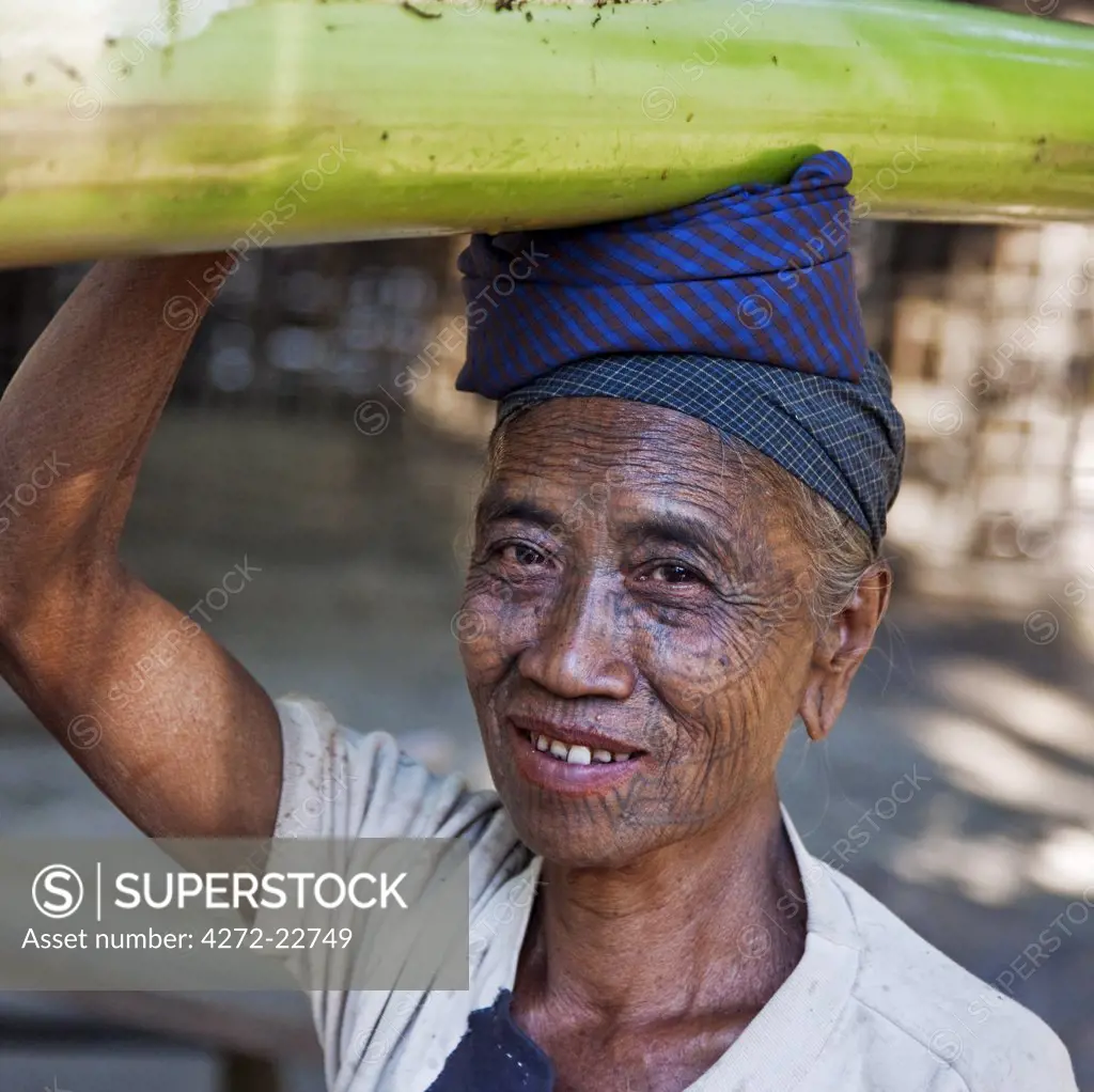 Myanmar, Chin State, Panbaung. A Chin woman with tattooed face carries home the stem of a banana tree. It was customary in the past for girls to be tattooed at 14 or 15 years old.