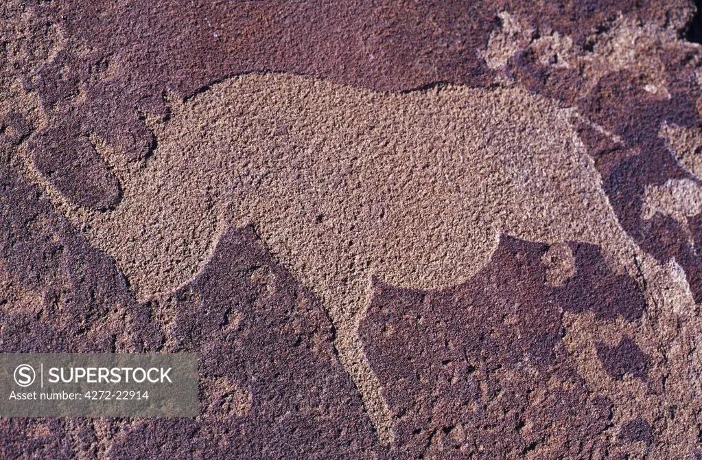 Bushman Rhino Petroglyph near caves formations at Twyfelfontein (doubtful fountain) c3000BC