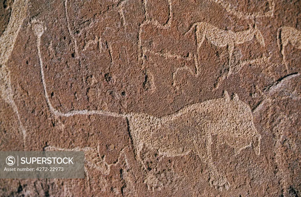 Bushman petroglyph of a lion and antelope etched into the rock