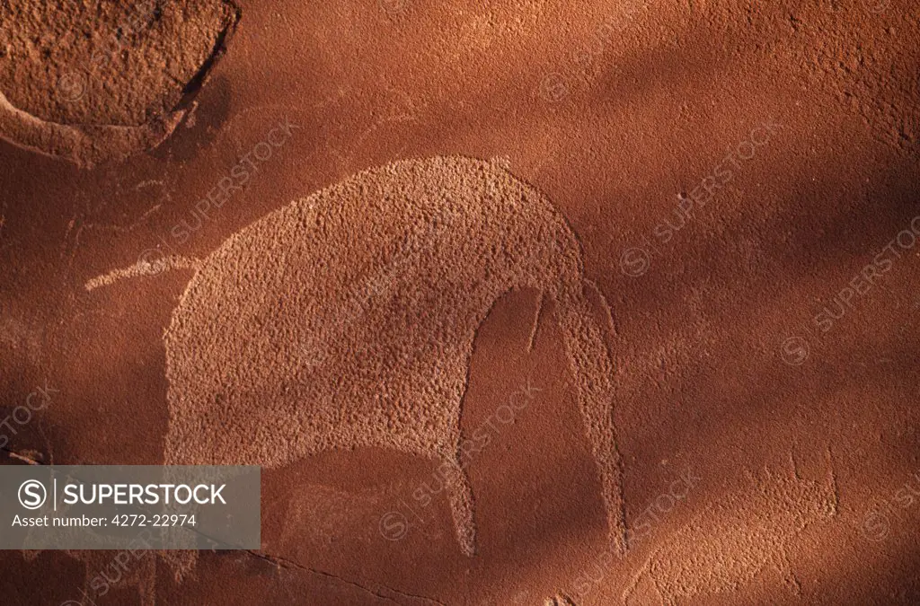 Bushman petroglyph of an elephant etched into the rock