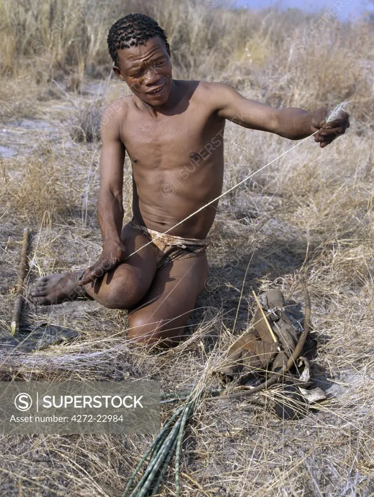 A Kung hunter gatherer rolls wild sisal  on his thigh to make a bow string. They speak with four distinct click consonants.The Kung live in the harsh environment of a vast expanse of flat sand and bush scrub country straddling the Namibia Botswana border.