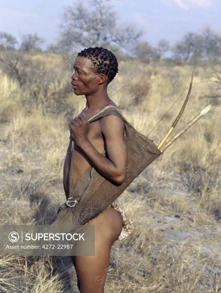 A Kung hunte gatherer stands ready to accompany his friends on a hunt.  His bow and arrows are kept in a soft leather pouch slung over his shoulder. The Kung live in the harsh environment of a vast expanse of flat sand and bush scrub country straddling the Namibia Botswana border.