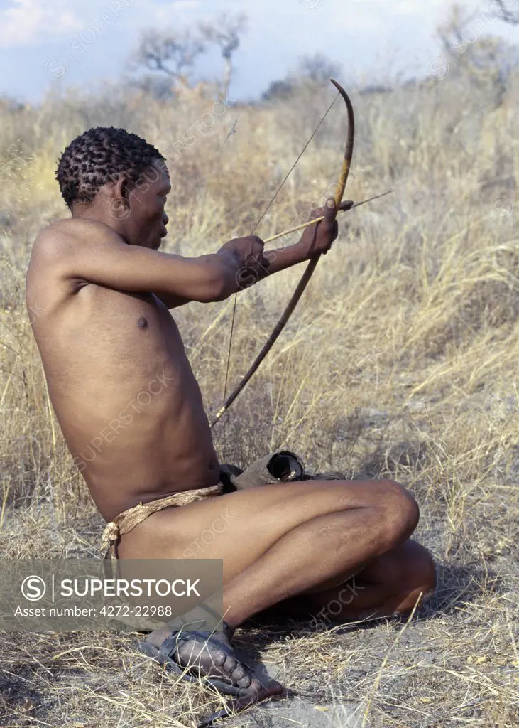 A Kung hunter gatherer checks his bow string, which he has made from the fibres wild sisal. The Kung live in the harsh environment of a vast expanse of flat sand and bush scrub country straddling the Namibia Botswana border.