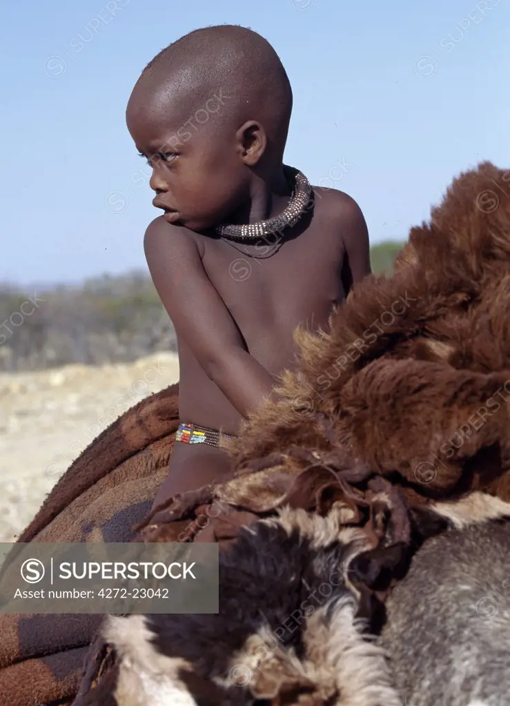 A young Himba boy rides home comfortably on a donkey. Sheepskins and blankets make up his saddle.  His body is smeared with a mixture of red ochre, butterfat and herbs. The Himba are Herero speaking Bantu nomads who live in the harsh, dry but starkly beautiful landscape of remote northwest Namibia.