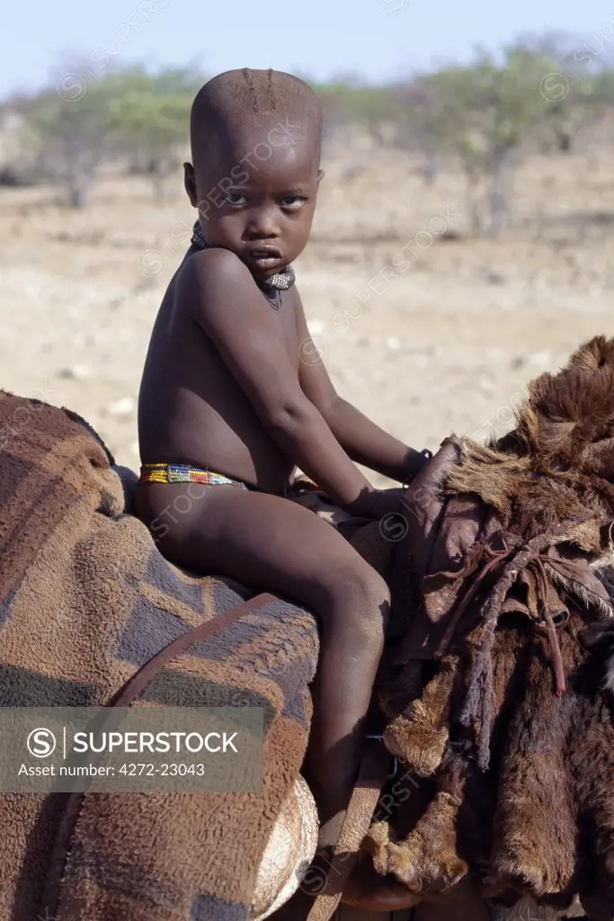 A young Himba boy rides home comfortably on a donkey. Sheepskins and blankets make up his saddle.  His body is smeared with a mixture of red ochre, butterfat and herbs. The Himba are Herero speaking Bantu nomads who live in the harsh, dry but starkly beautiful landscape of remote northwest Namibia.