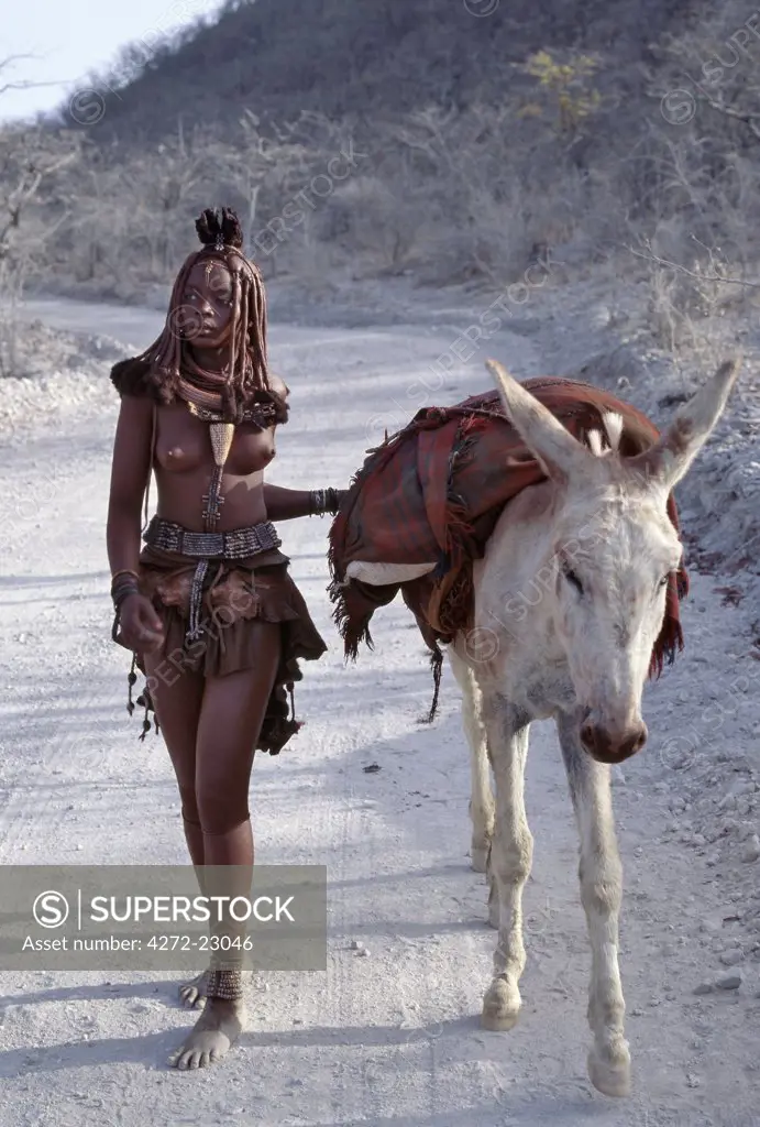 After visiting a market centre, a young Himba woman drives home her donkey along dusty white tracks.  Her body gleams from a mixture of red ochre, butterfat and herbs. The Himba are Herero speaking Bantu nomads who live in the harsh, dry but starkly beautiful landscape of remote northwest Namibia.