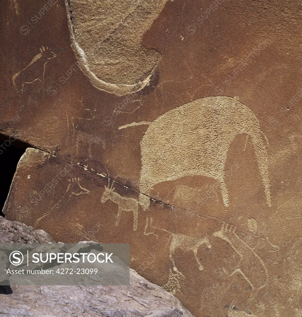 One of the attractive displays at the extensive site of Twyfelfonteins 5,000 rock engravings or petroglyphs, ranging from simple geometric designs to complex friezes of animals.