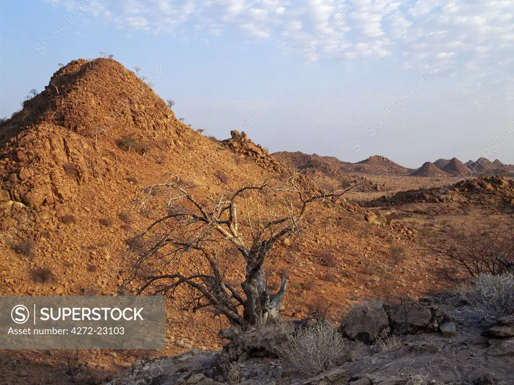 In the barren country near Twyfelfontein, rock-strewn hills glow red in the first rays of the rising sun.