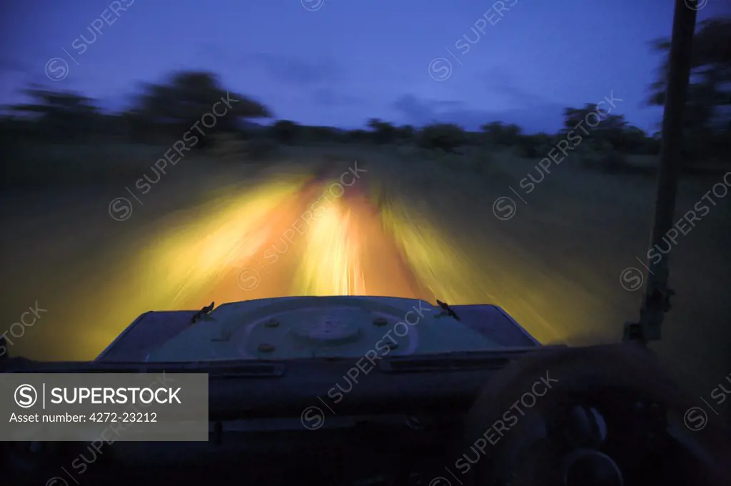 View from a Land Rover returning in the evening after a game drive at the Africat Foundation.