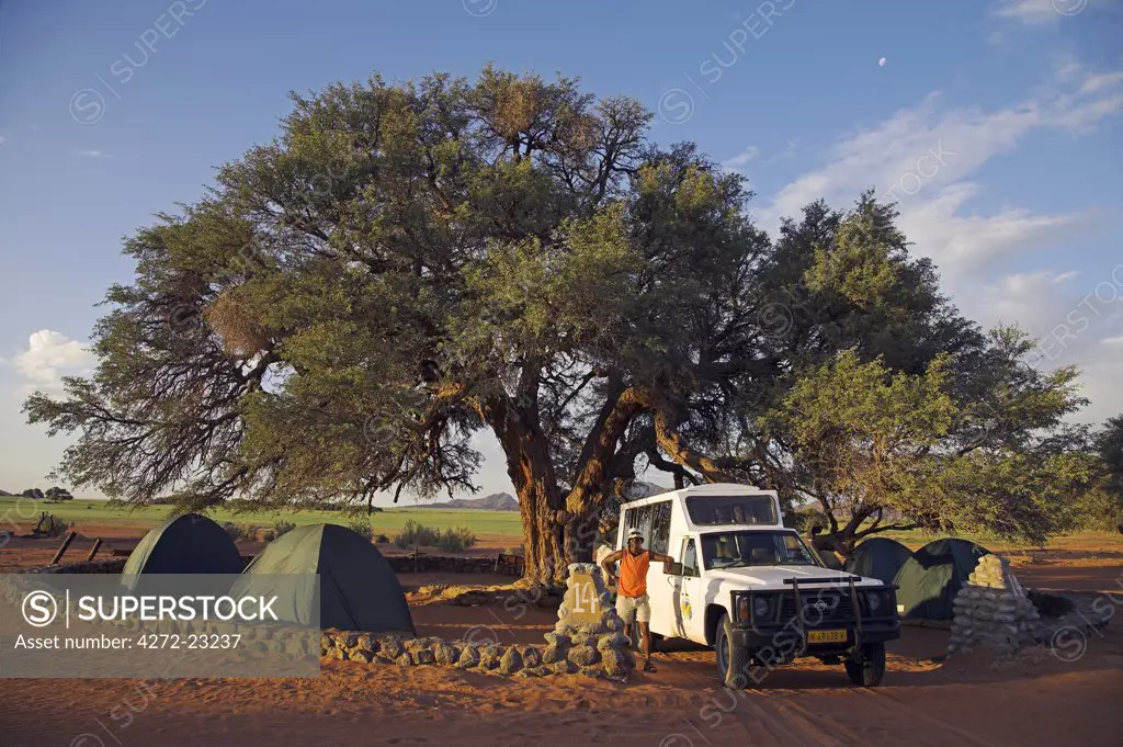 A safari guide stands in front of his Land Cruiser at Sesriem campsite. Behind him, tents are set up under a camelthorn tree.