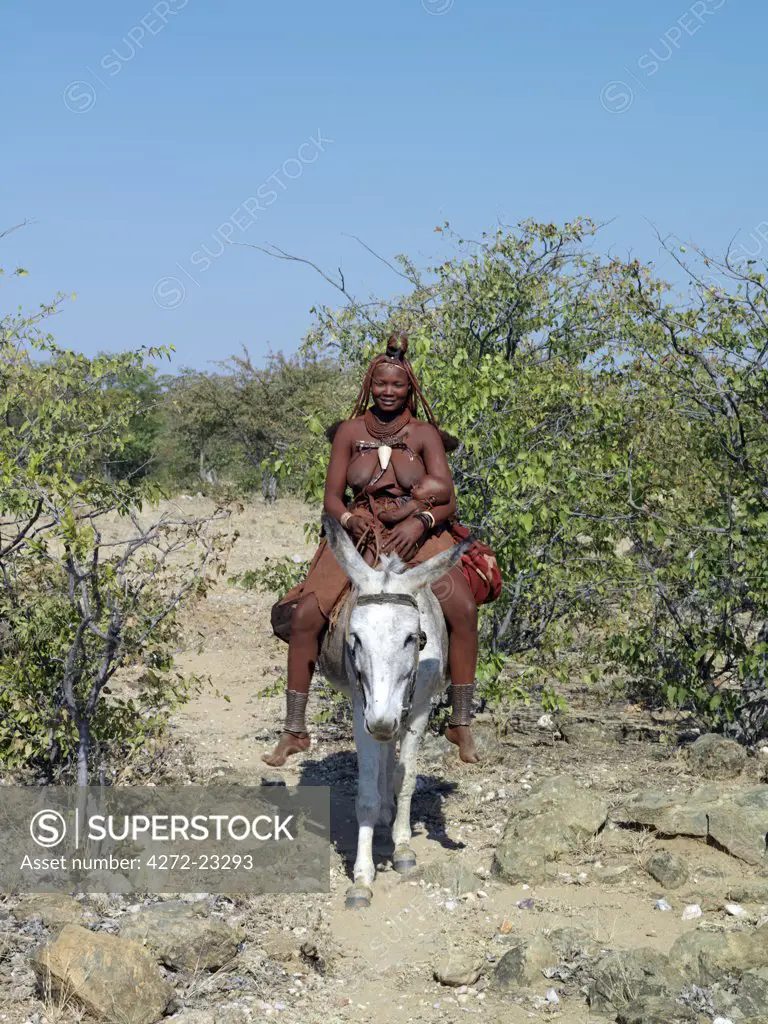 A Himba mother and child ride home on a donkey. Their bodies gleam from a mixture of red ochre, butterfat and herbs. The womans long hair is styled in the traditional Himba way and is crowned with a headdress made of lambskin, called erembe.