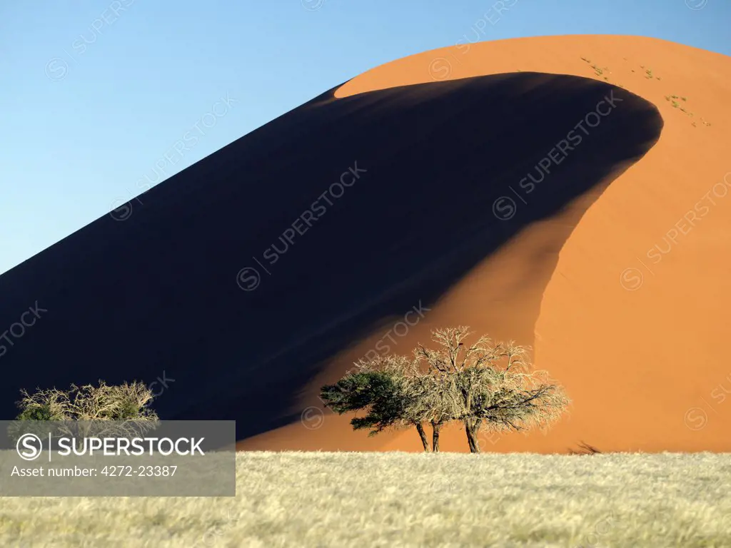 In early morning and late afternoon, the dunes at Sesriem in the Namib Naukluft Park, are breathtakingly beautiful. Patterned by, and shifting with, the wind, these dunes vary from brick red to apricot and forever change colour with the angle of the sun.