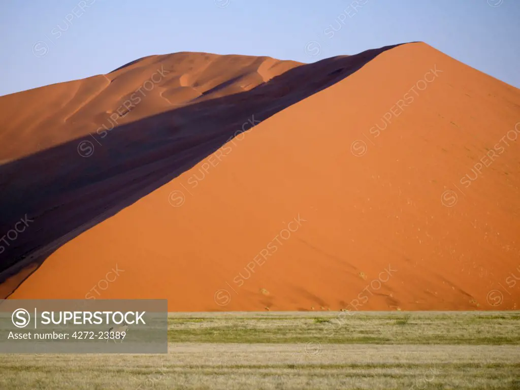 A Southern oryx, or Gemsbok, crosses a grassy plain beneath a towering red dune. In early morning and late afternoon, the dunes at Sesriem in the Namib Naukluft Park, are breathtakingly beautiful. Patterned by, and shifting with, the wind, these dunes vary from brick red to apricot and forever change colour with the angle of the sun.