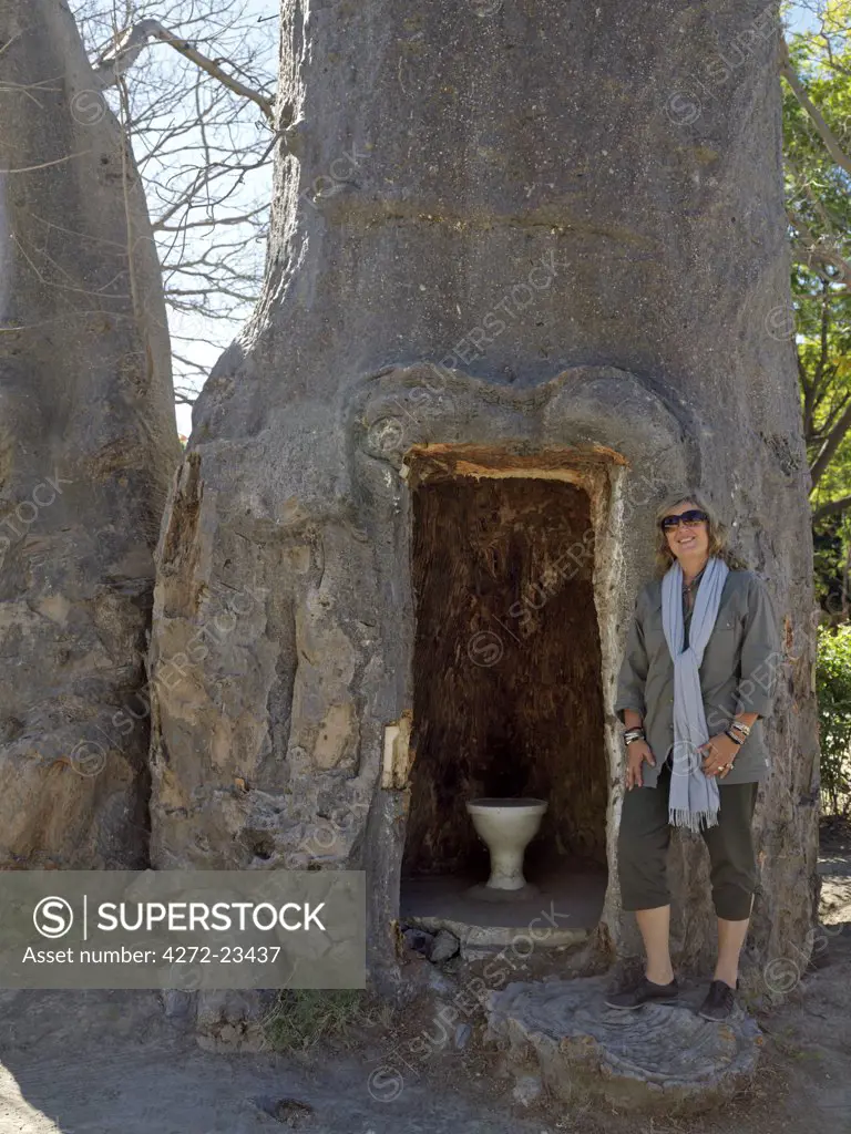 A unique toilet made by hollowing out a giant baobab tree at Katima Mulilo. No longer in use, it was made during the German rule of South West Africa one hundred years ago.