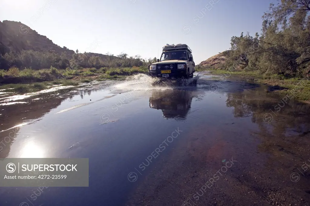 Namibia, Damaraland. Driving in a four wheel drive vehicle down the Ugab River near Brandberg Mountain in search of elusive Desert Elephants.