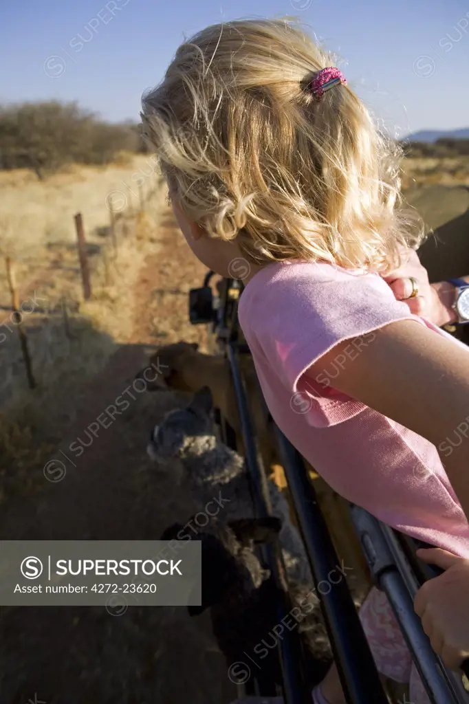 Namibia, Damaraland, Erongo Region.  A young girl, her hair blowing in the wind, leans over the side of a safari vechicle as it drives through grassland on a game track (MR)