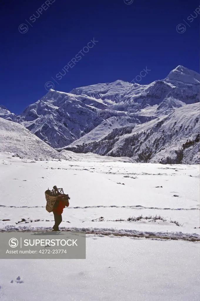 Porter walking through snow near the Thorung La with Gangapurna and Annapurna III behind.