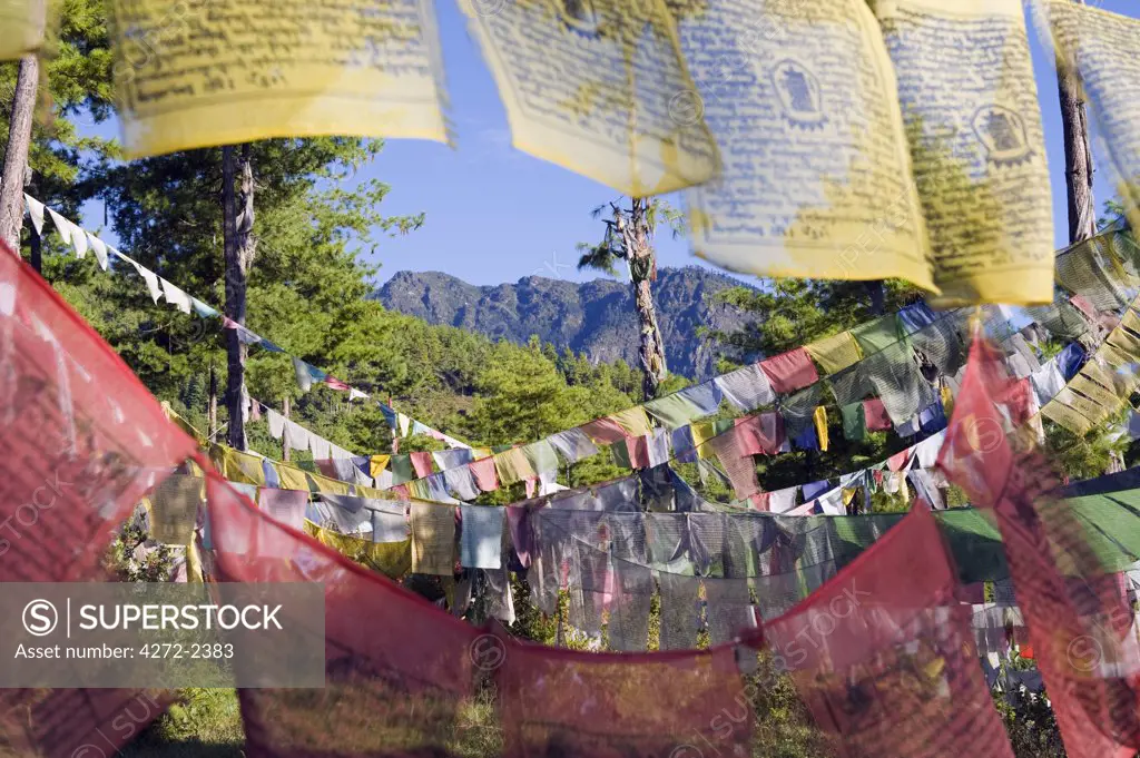 Asia, Bhutan, Thimphu, prayer flags