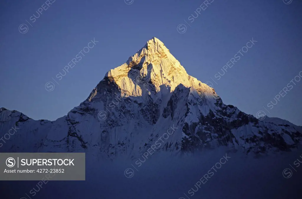 Nepal, Solo-Khumbu, Dzonglha. Ama Dablam (north face) bathed in evening light, seen from Dzonglha. Ama Dablam is one of the most, distinctive mountains lining the Khumba valley. At 6856m or 22,494ft, it is by no means the highest mountian in the area, but it is one of the most striking in appearance. First climbed in 1961 by Gill, Bischop, Ward and Romances.