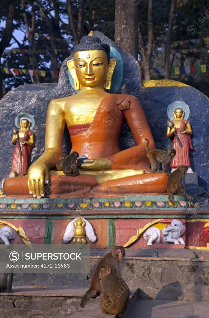 Nepal, Kathmandu, Swayambunath Temple (Monkey Temple) which sits a on a hill with superb views over the Kathmandu Valley