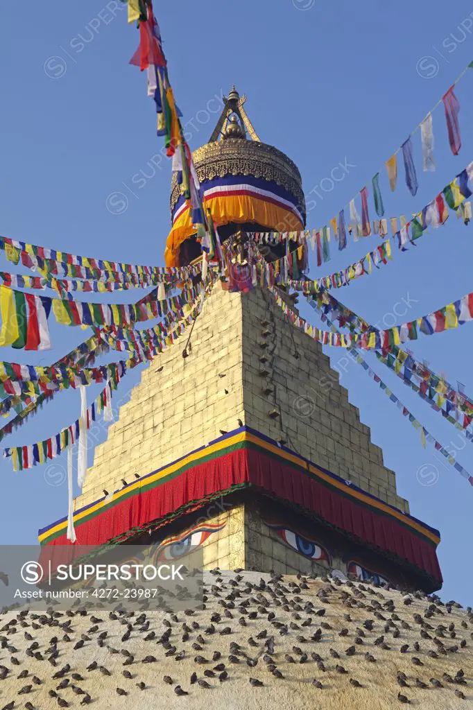 Nepal. Kathmandu, Boudinath Stupa one of the holiest Buddhist sites in Kathmandu and one largest stupa's in the world