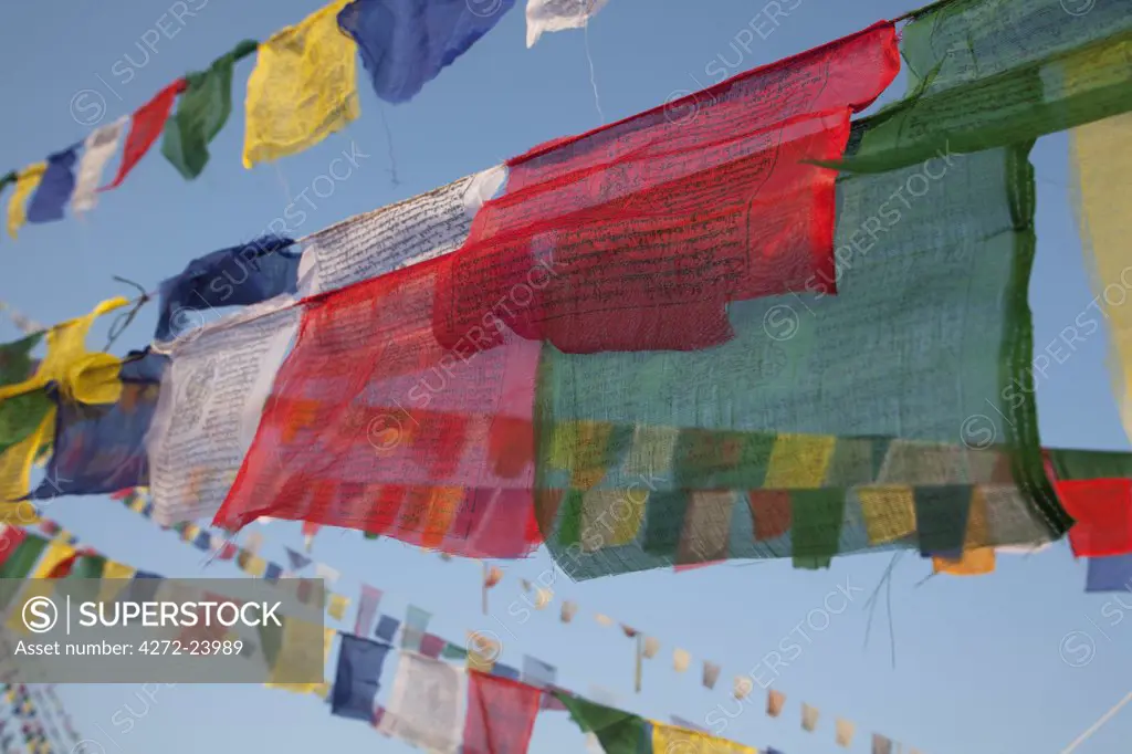 Nepal. Kathmandu, Prayer flags of Boudinath Stupa one of the holiest Buddhist sites in Kathmandu