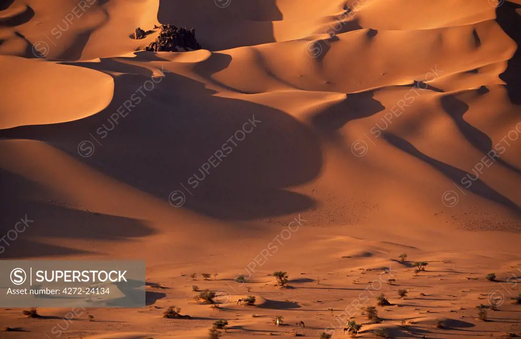 Niger, Tenere Desert. Sand dunes within the extinct Caldera of Arakao. This is the largest protected area in Africa, covering over 7.7 million hectares. It includes the volcanic massif of the Air Mountains, a Sahelian island isolated in climate, flora and fauna in the surrounding Saharan desert of Tenere.