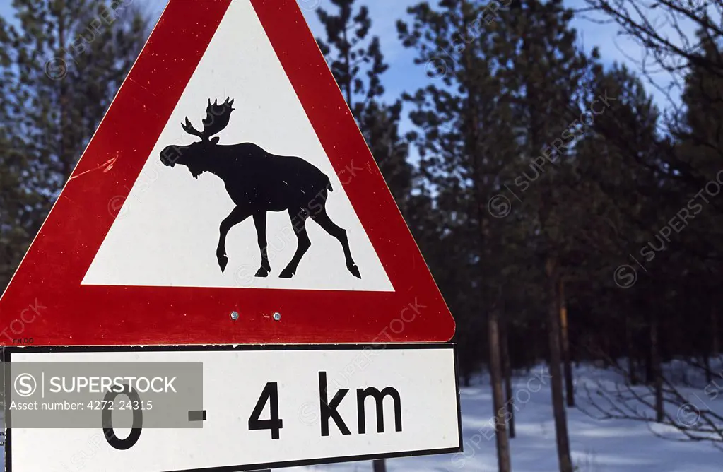 Beware Elks about road sign, Alta, Arctic Circle, Northern Norway