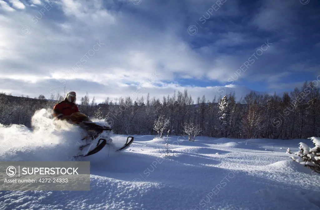Snow mobile at speed in deep snow between birch trees near Alta, Arctic Circle, Northern Norway. Driver Trond Frogum