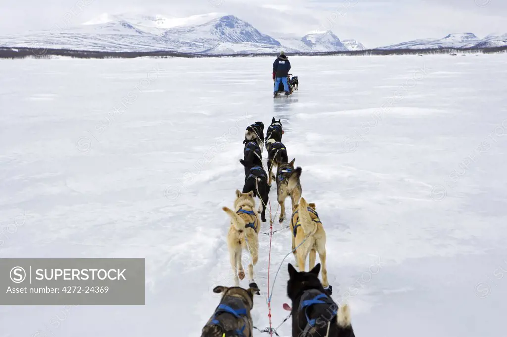 Norway, Troms, Lyngen Alps. Travel over the mountains of the Lyngen Alps via dog sled guided by veteran explorer Per Thore Hansen.