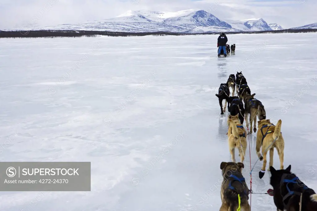 Norway, Troms, Lyngen Alps. Travel over the mountains of the Lyngen Alps via dog sled guided by veteran explorer Per Thore Hansen.