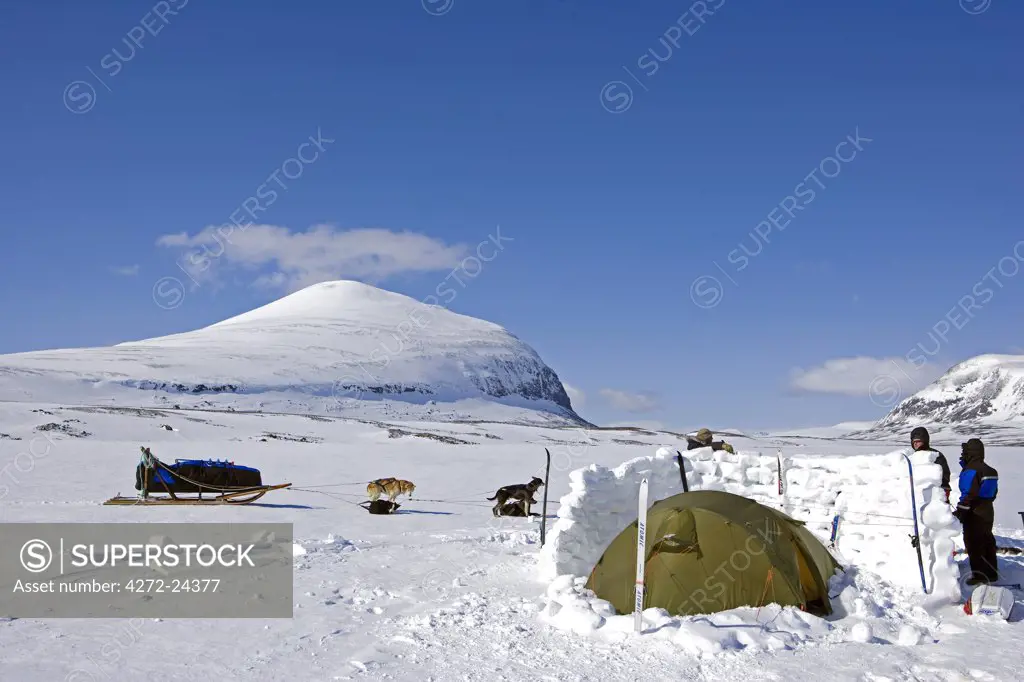Norway, Troms, Lyngen Alps.  High on the plateau, a cross country ski camp is visited by a dog sledding team, the tents protected by an ice block wall and the corners of the tent secured with ski's.